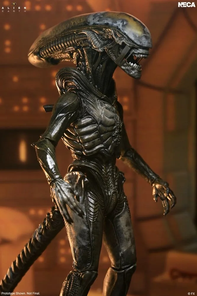 Alien Earth Action Figure – Ultimate Wendy’s Xenomorph 18 cm 3