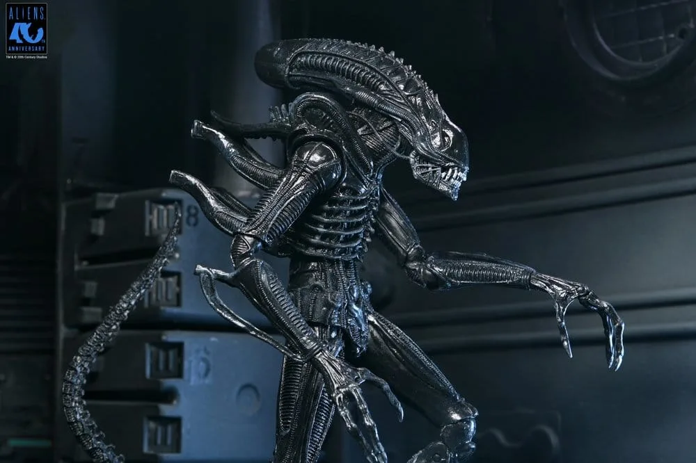 Aliens Action Figure – Black Xenomorph Warrior 23 cm 17