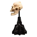 Lord of the Rings Mini Statue – Skull of Lurtz 14 cm 10