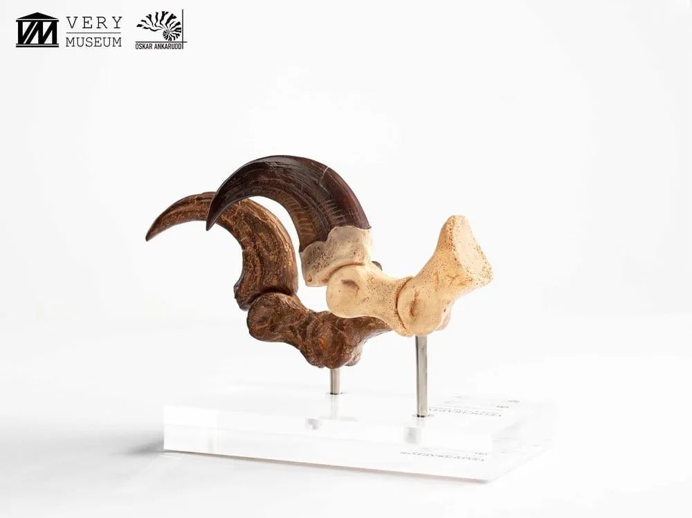 Jurassic Park Statue Set – Velociraptor Claws 20 cm 10