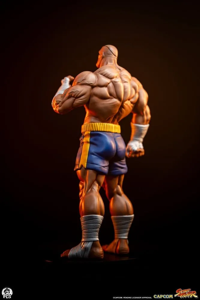 Street Fighter Statue Set – Street Jam Sagat and Juli 1/10 24 cm 20