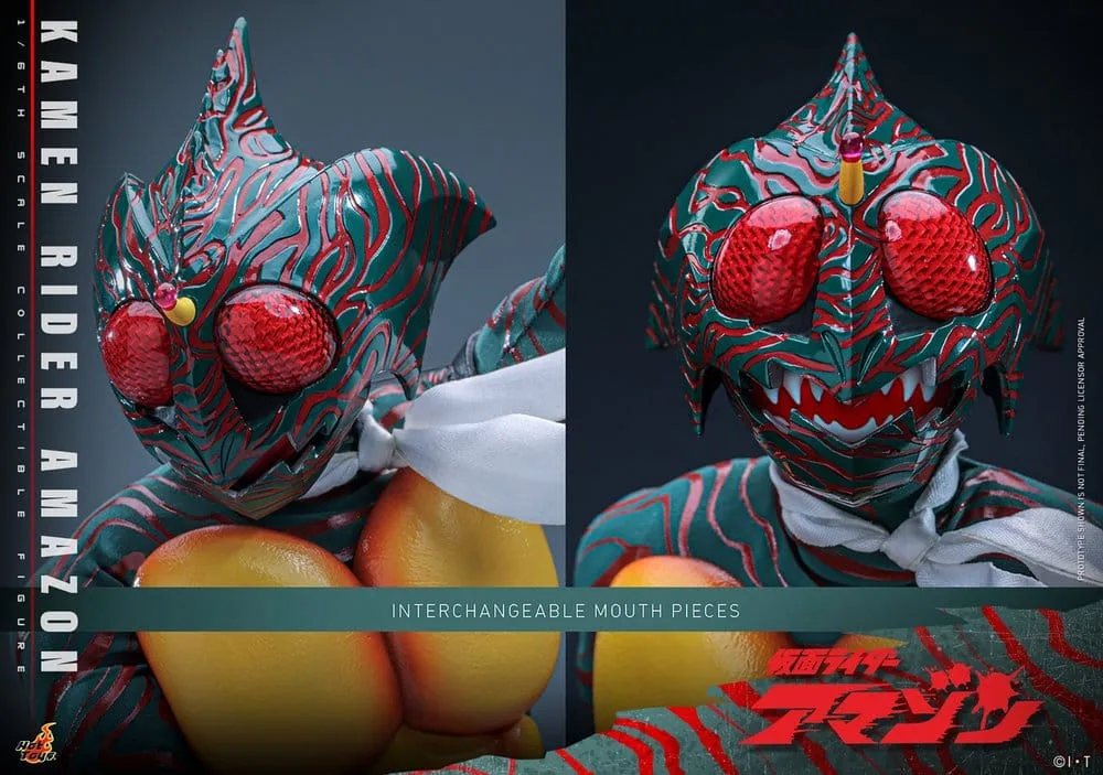 Kamen Rider Action Figure – Amazon 1/6 Scale 30 cm 21