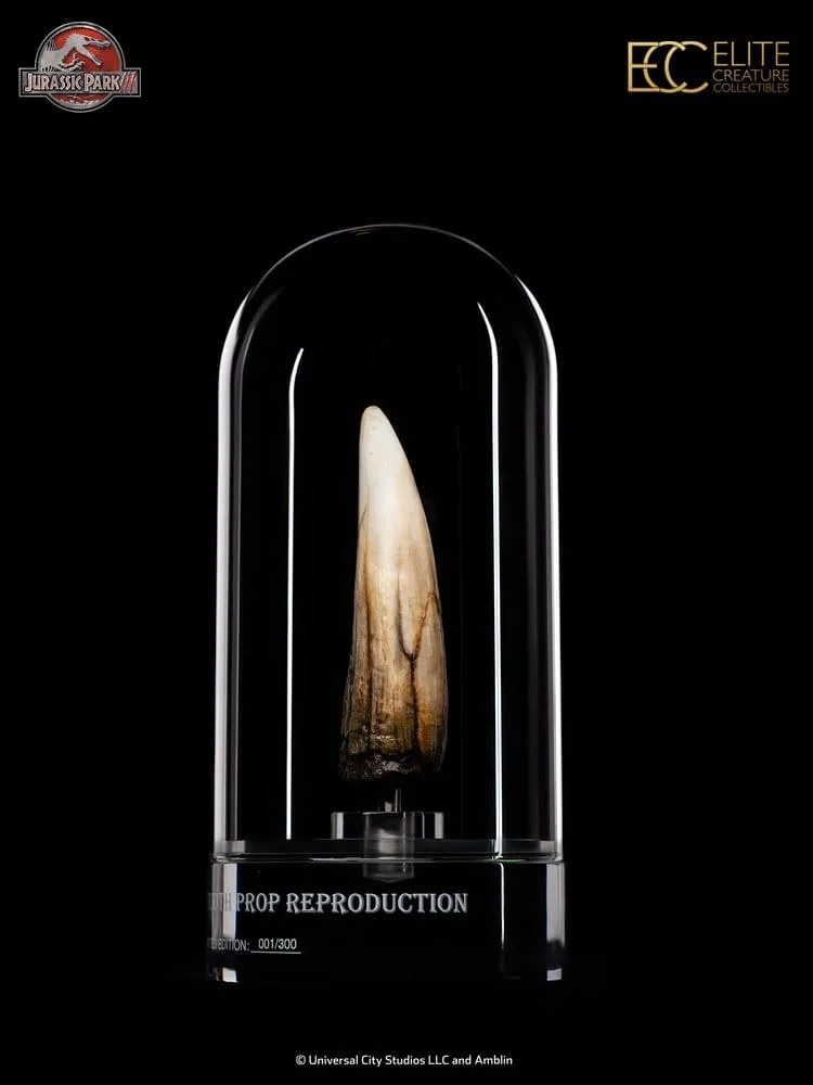 Jurassic Park III Prop Replica – Spinosaurus Tooth 14 cm 4