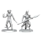 Pathfinder Miniaturen – Vordine & Pitborn Rogue 1
