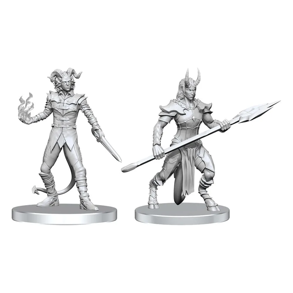 Pathfinder Miniatures – Vordine & Pitborn Rogue