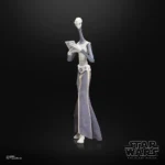 Star Wars Black Series Action Figure – Taun We 15 cm 10