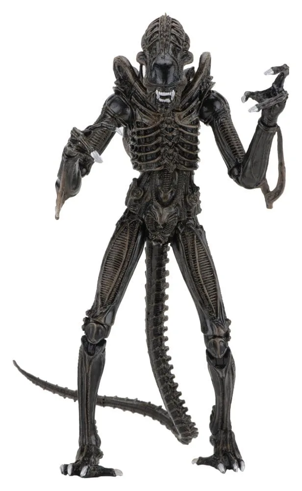 Aliens Action Figure – Ultimate Brown Warrior 23 cm 1