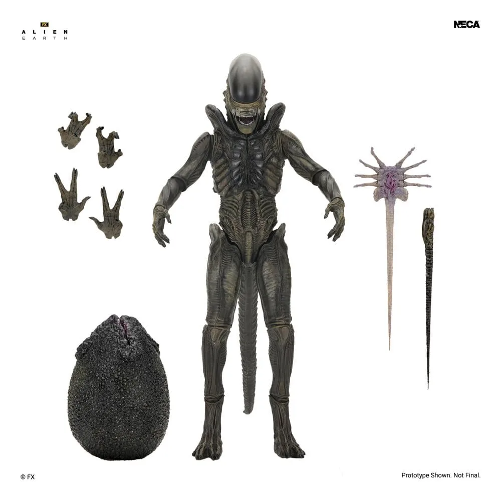 Alien Earth Actionfigur – Ultimate Xenomorph 18 cm 2