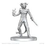 Pathfinder Miniaturen – Vordine & Pitborn Rogue 2