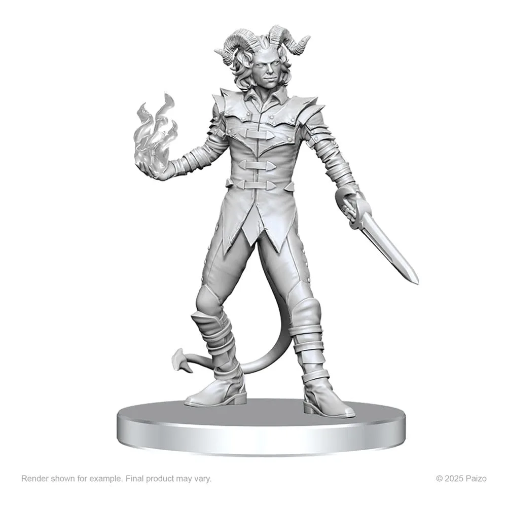 Pathfinder Miniaturen – Vordine & Pitborn Rogue 2