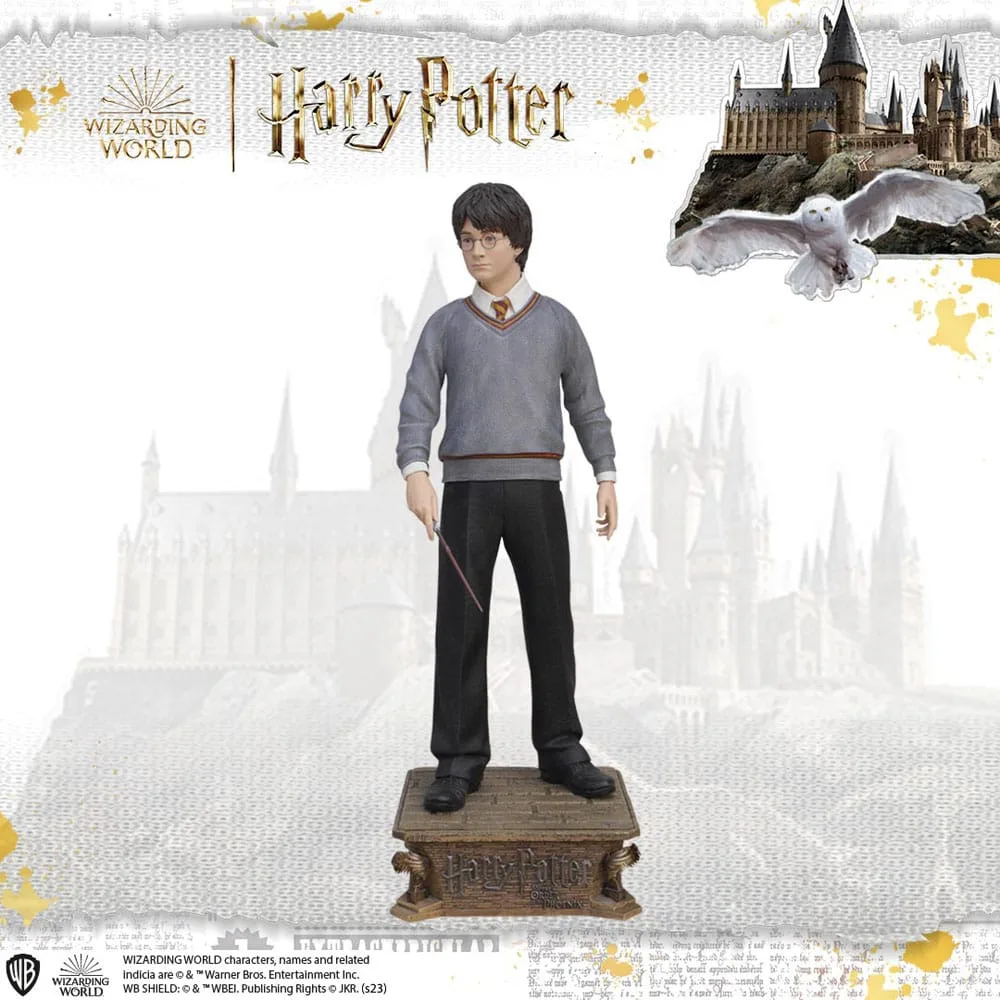 Harry Potter Life-Size Statue – Muckle Mannequins 174 cm 2