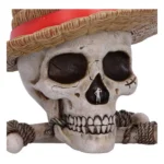 One Piece Storage Box – Luffy Jolly Roger 5