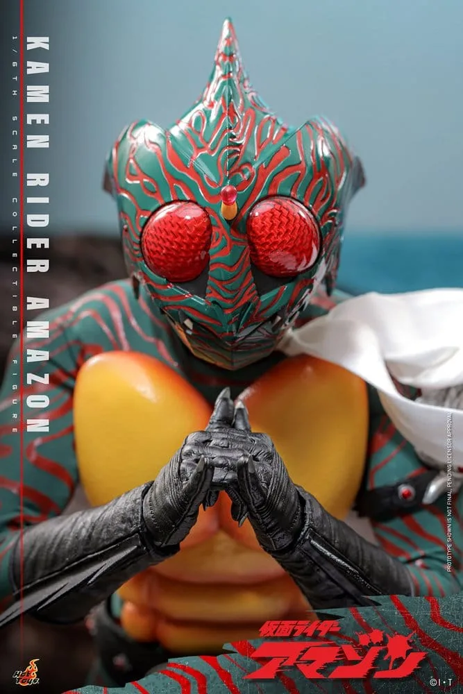 Kamen Rider Action Figure – Amazon 1/6 Scale 30 cm 6