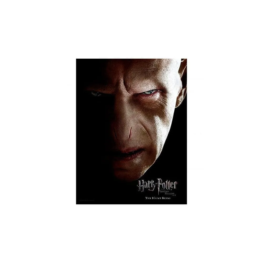 Harry Potter Glass Poster – Voldemort 30 x 40 cm