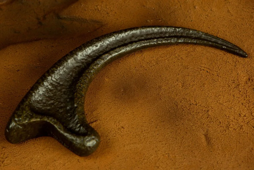 Jurassic Park Replik – Raptorkralle 1:1 8
