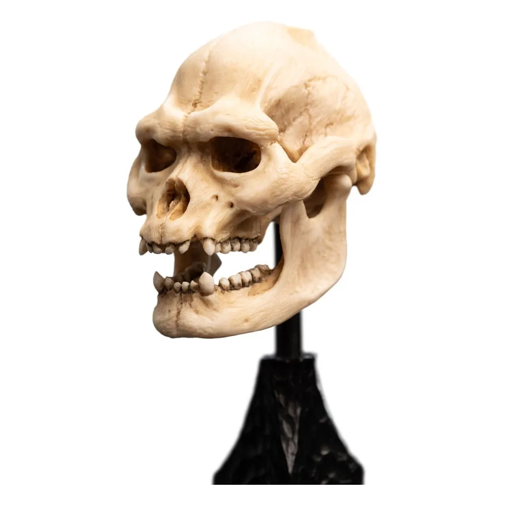 Lord of the Rings Mini Statue – Skull of Lurtz 14 cm 2