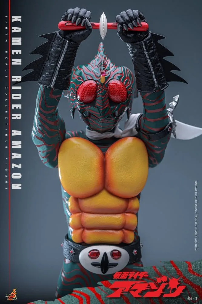 Kamen Rider Action Figure – Amazon 1/6 Scale 30 cm 19