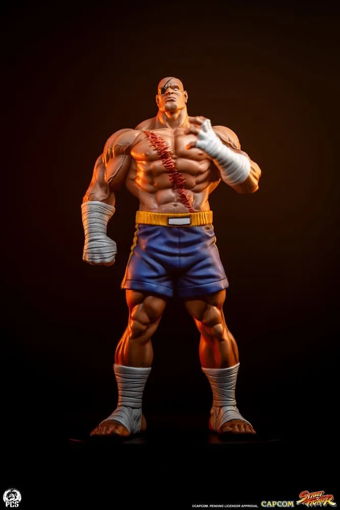 Street Fighter Statue Set – Street Jam Sagat and Juli 1/10 24 cm 3