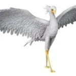 Flow PVC Figure – Secretarybird UDF 3