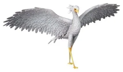 Flow PVC Figure – Secretarybird UDF 3