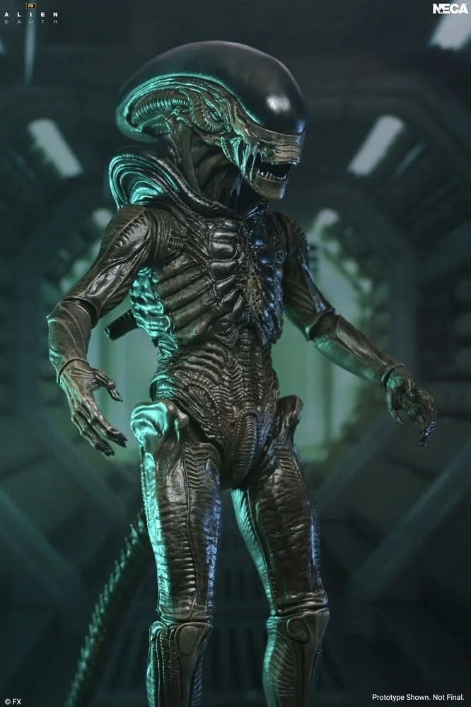 Alien Earth Actionfigur – Ultimate Xenomorph 18 cm 3