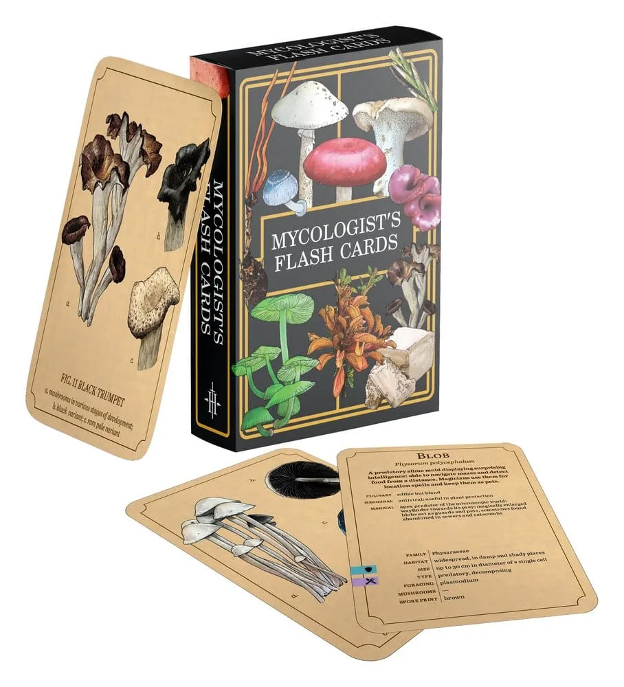 Renegade Originals Flash Cards – Mycologist's Primer English