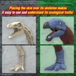 Plannosaurus Plastic Model Kit – Therizinosaurus 7