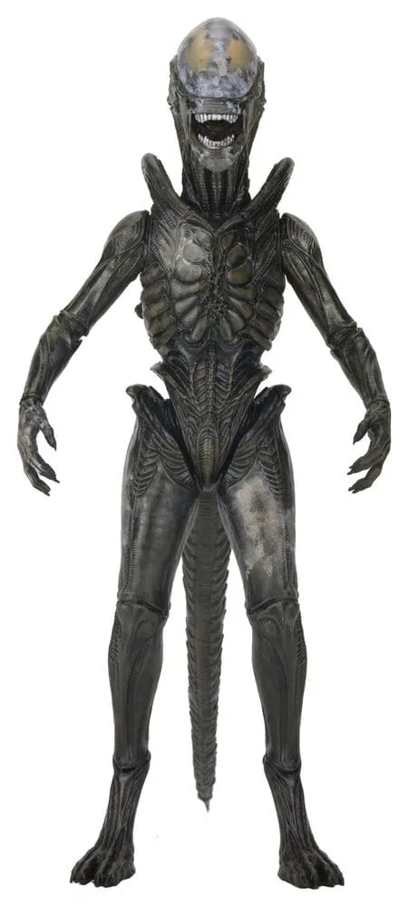 Alien Earth Action Figure – Ultimate Wendy’s Xenomorph 18 cm
