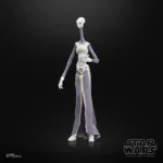 Star Wars Black Series Action Figure – Taun We 15 cm 13