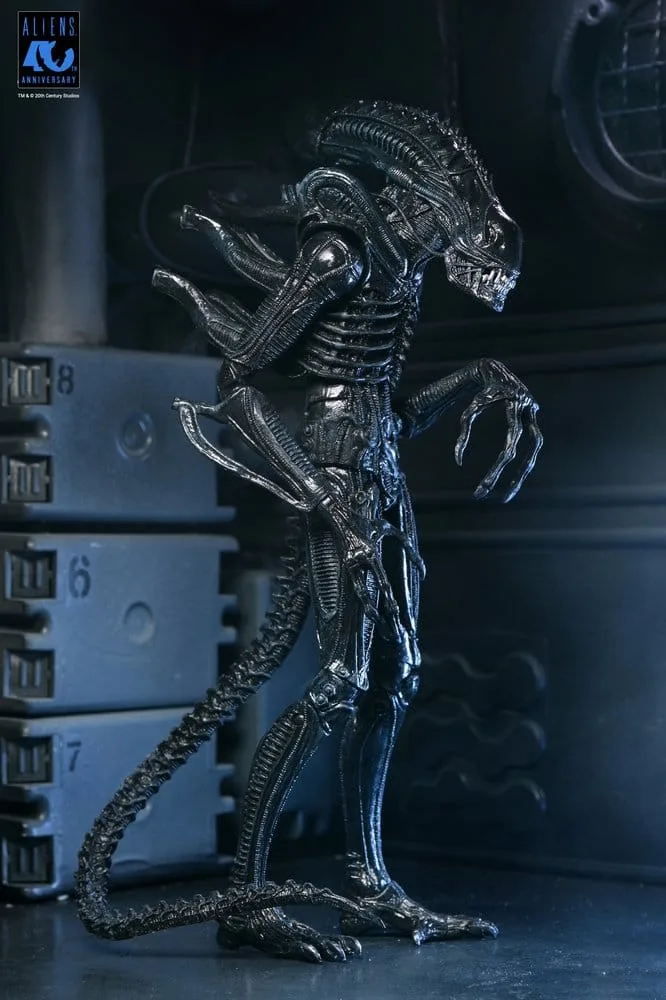 Aliens Action Figure – Black Xenomorph Warrior 23 cm 14