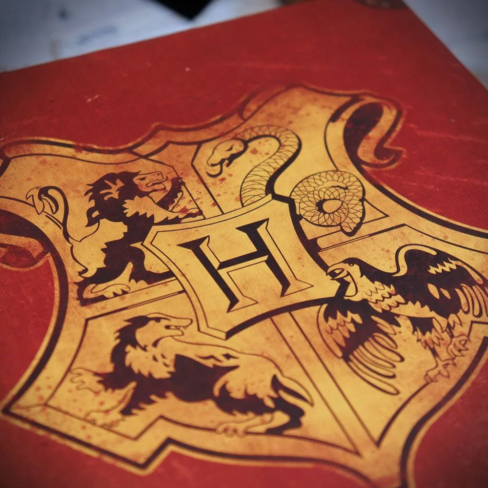 Harry Potter Collector Gift Box – Journey to Hogwarts 12