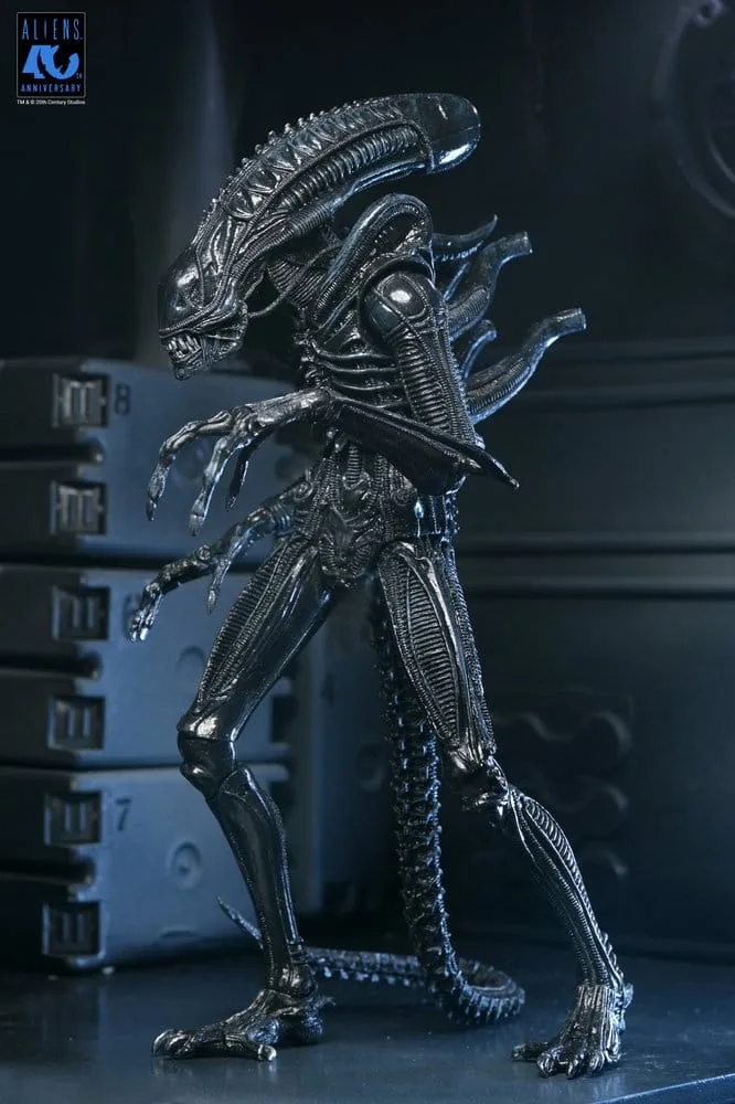 Aliens Action Figure – Black Xenomorph Warrior 23 cm 6