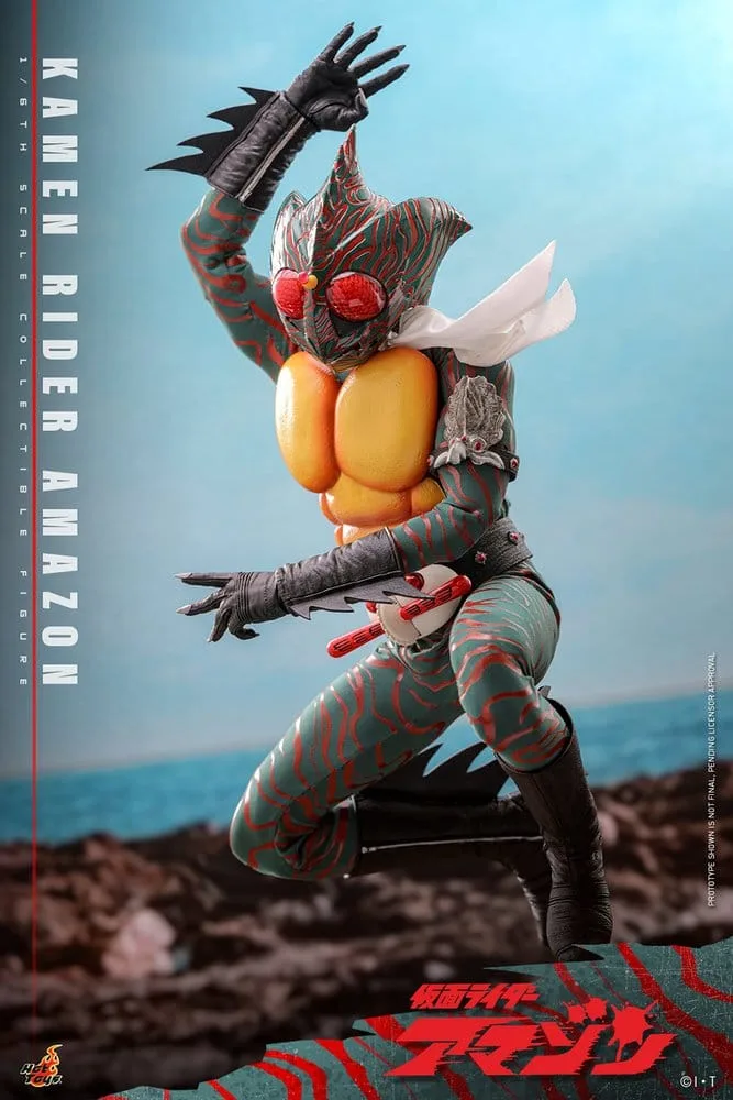 Kamen Rider Action Figure – Amazon 1/6 Scale 30 cm 12