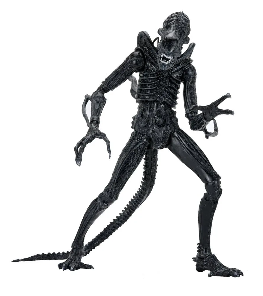 Aliens Action Figure – Black Xenomorph Warrior 23 cm