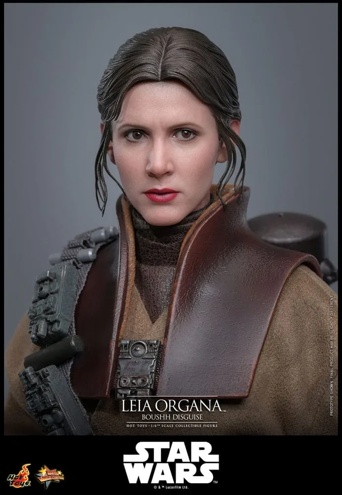 Star Wars Action Figure – Leia Organa Boushh Disguise 1/6 27 cm 12