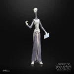 Star Wars Black Series Action Figure – Taun We 15 cm 12
