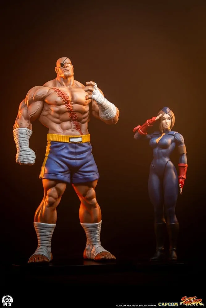 Street Fighter Statue Set – Street Jam Sagat and Juli 1/10 24 cm 2