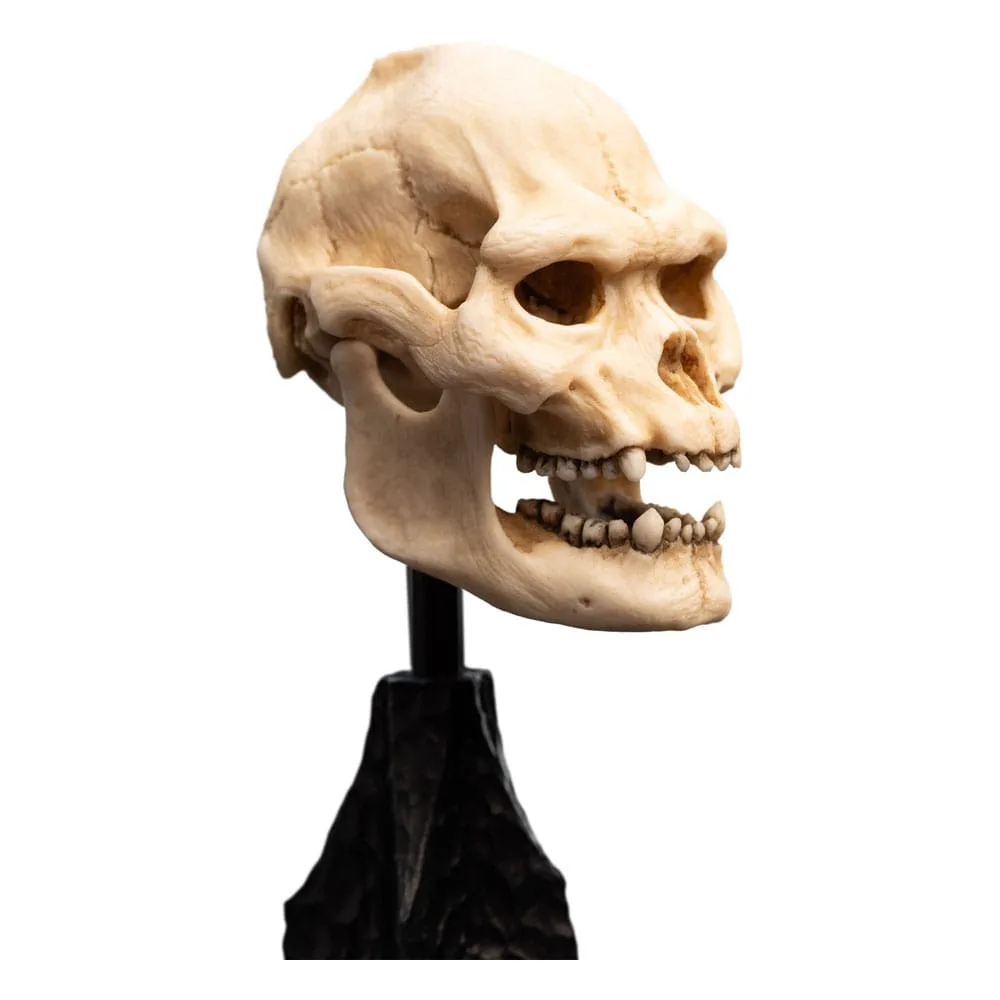 Lord of the Rings Mini Statue – Skull of Lurtz 14 cm 3