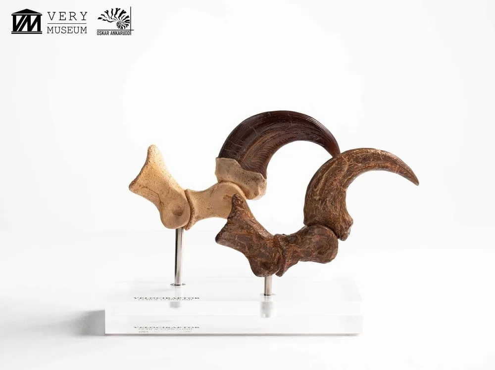 Jurassic Park Statue Set – Velociraptor Claws 20 cm 3