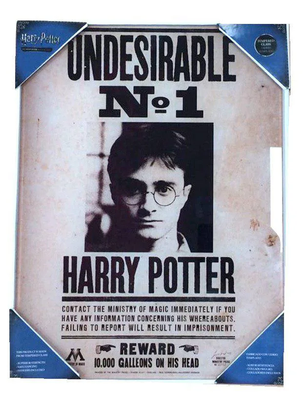 Harry Potter Glass Poster – Undesirable No. 1 30 x 40 cm