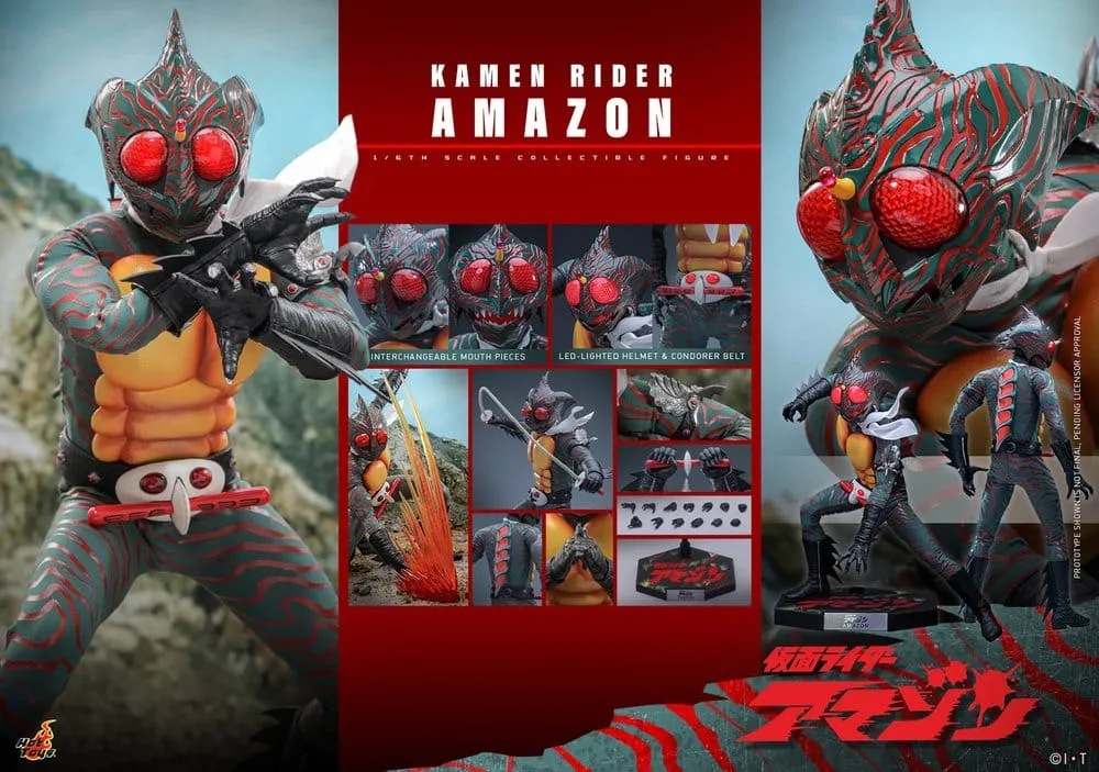 Kamen Rider Action Figure – Amazon 1/6 Scale 30 cm 24