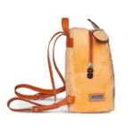 Pokémon Mini Backpack – Eevee 2
