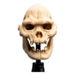Lord of the Rings Mini Statue – Skull of Lurtz 14 cm 12