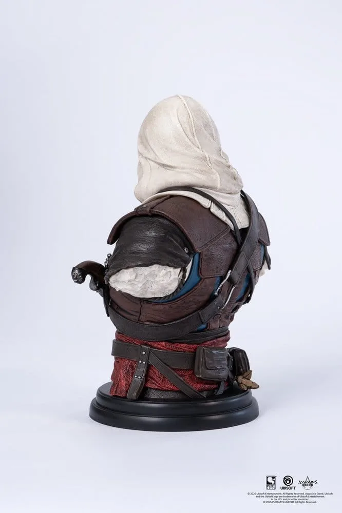Assassin’s Creed Bust – Edward 1/4 Scale 4