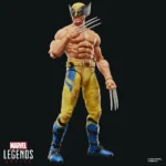 Marvel Legends Action Figure – Bare-Chested Wolverine 15.2 cm 4