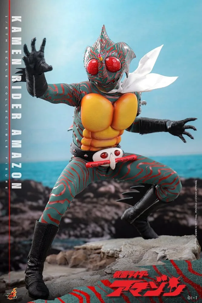 Kamen Rider Action Figure – Amazon 1/6 Scale 30 cm 3