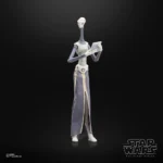 Star Wars Black Series Action Figure – Taun We 15 cm 11