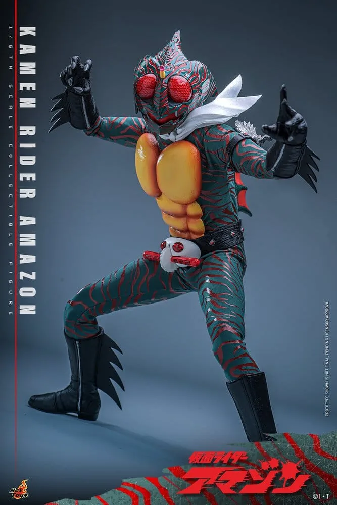 Kamen Rider Action Figure – Amazon 1/6 Scale 30 cm 17