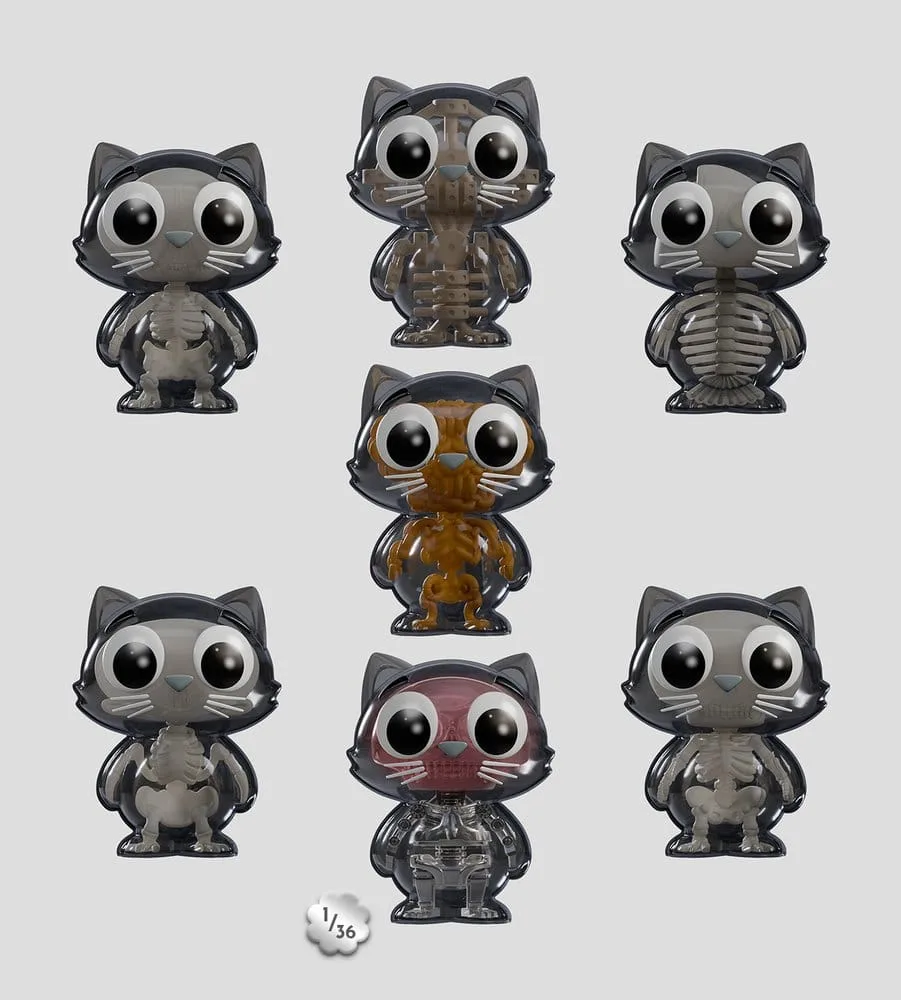 Cat Scans Mini Figures – S2 Bare Bones Display of 6 6 cm