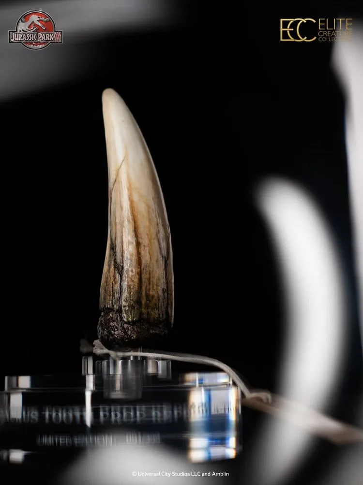 Jurassic Park III Prop Replica – Spinosaurus Tooth 14 cm 8
